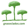 GNasociados